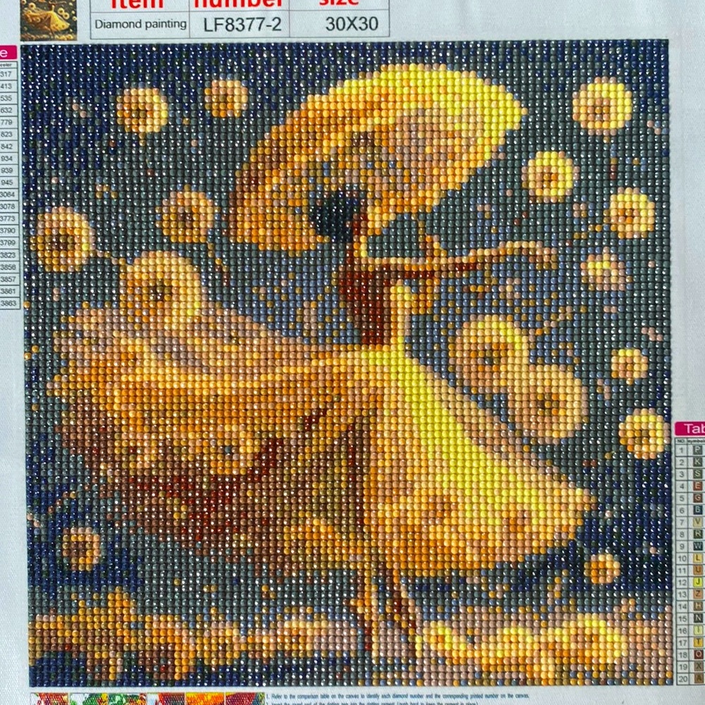 Ballerina Dancer w/Dandelions & Umbrella Diamond Dot Art Picture Painting